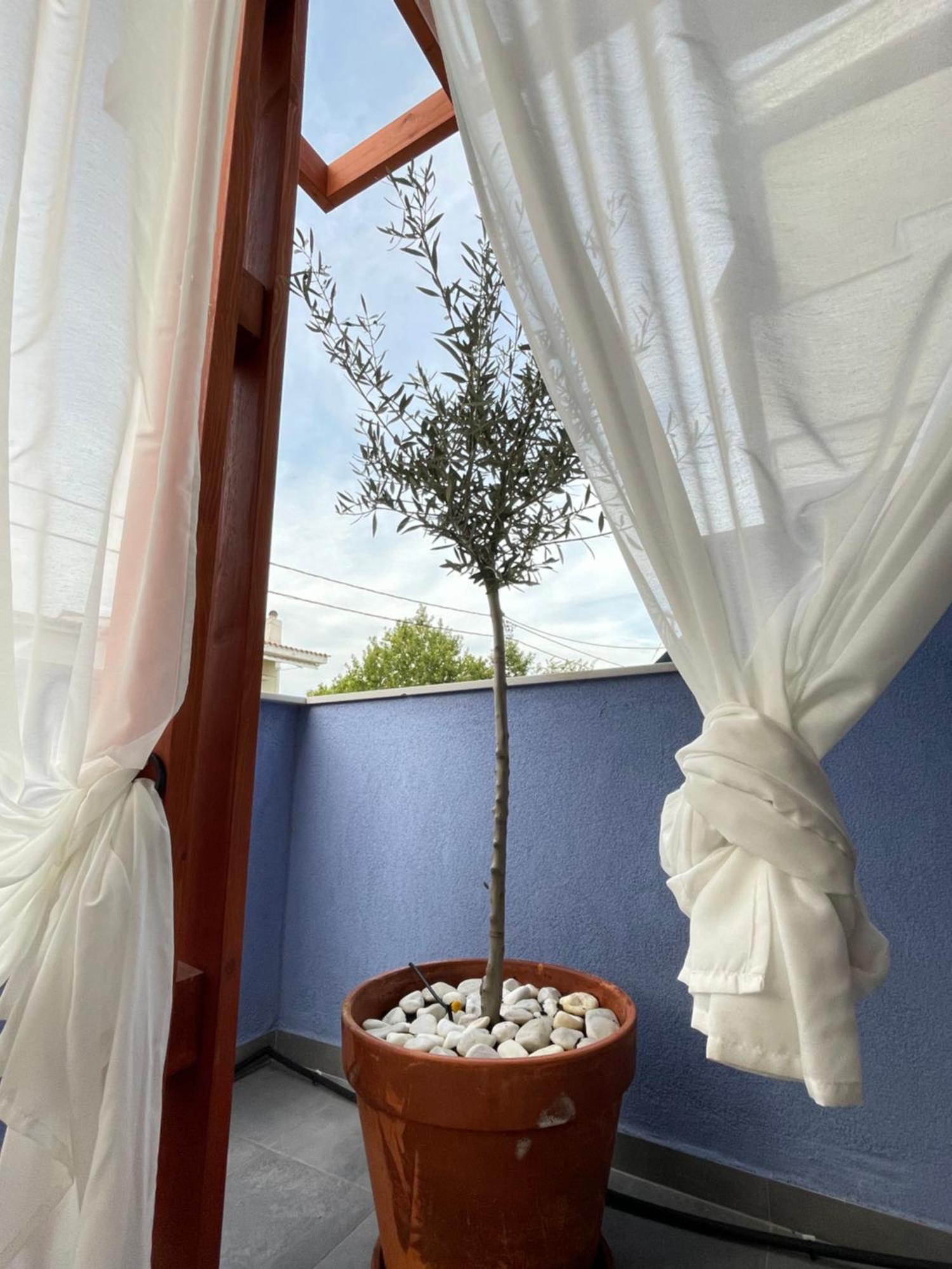 Apartmán Gaia